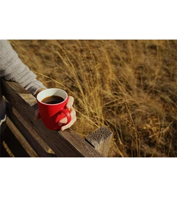 A változás évszaka: fedezd fel a teázás örömét az egész családdal.