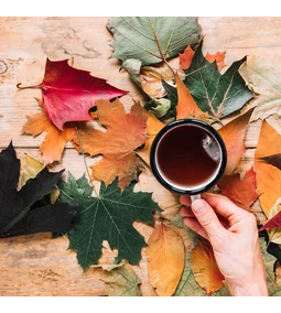 Merüljünk el az ősz ízeiben