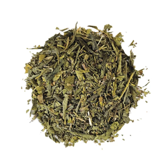 Zöld tea mnetával 